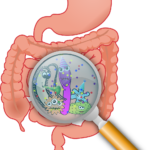 Gut Microbiome, Health and Disease
