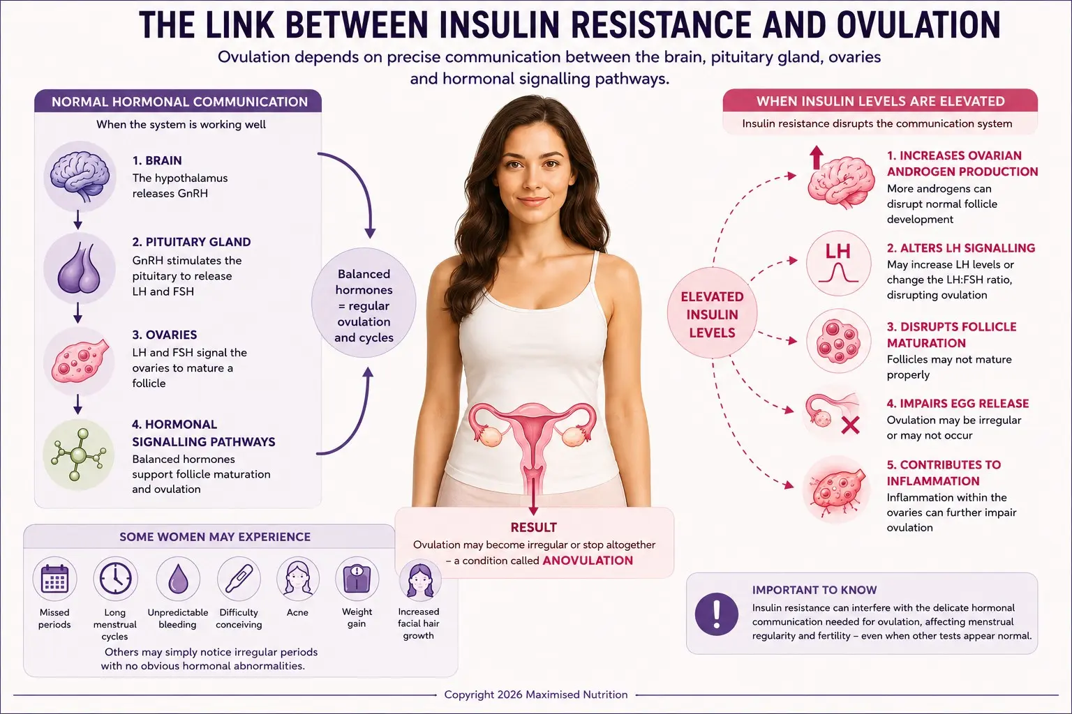 insulin-resistance-and-ovulation-webp Infographic explaining how insulin resistance and elevated insulin may disrupt ovarian androgen production, LH signalling, follicle maturation and egg release, contributing to irregular ovulation and menstrual cycles.