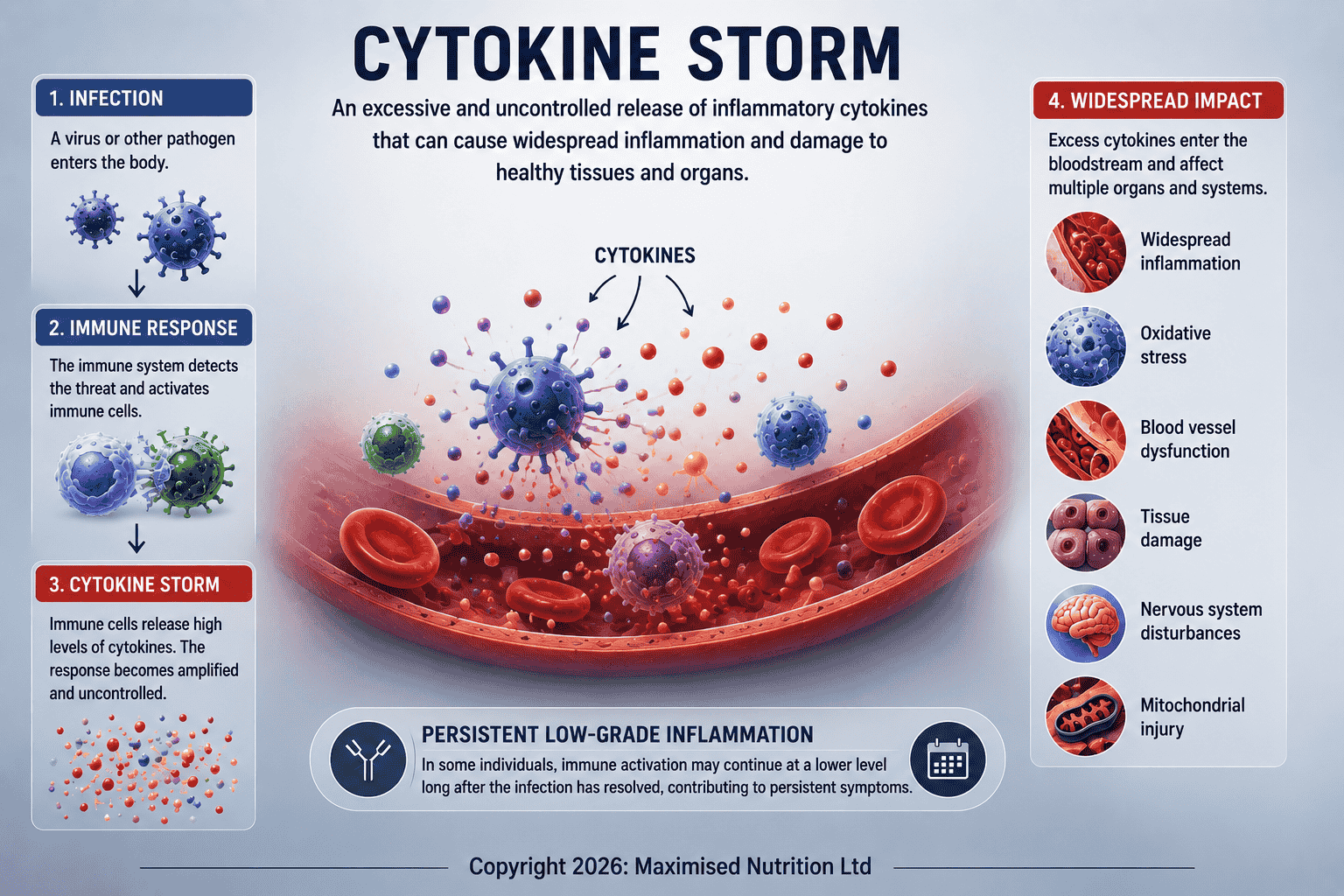 Cytokine-Storm (1) What Is a Cytokine Storm?