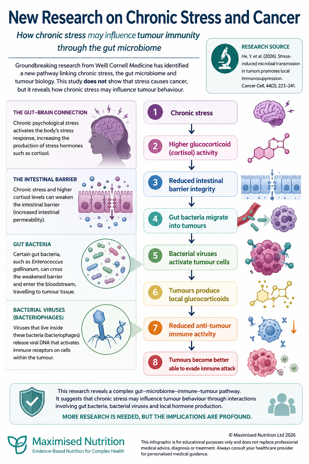New Research on Chronic Stress and Cancer